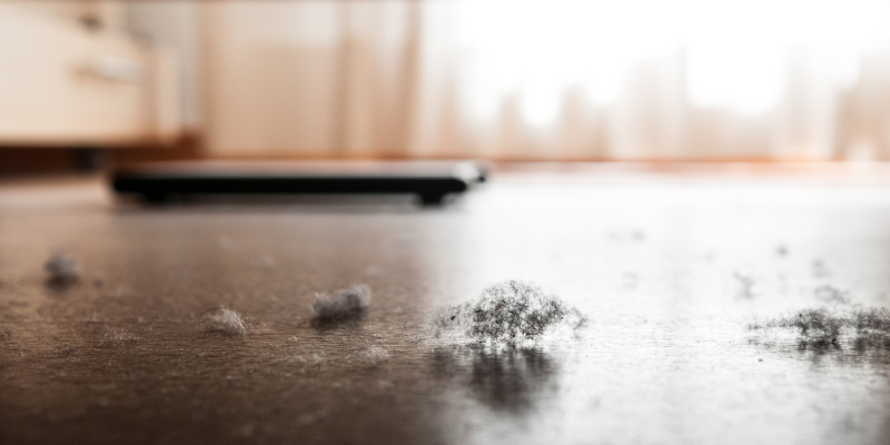 Three Reasons You Should Consider Move-in Cleaning